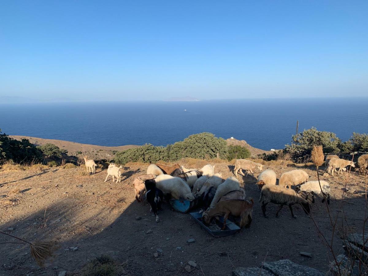 شقة Sunrise Dream Agia Mavra المظهر الخارجي الصورة